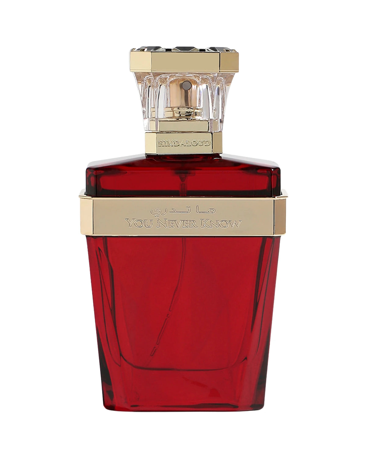 Hind Al Oud You Never Know (50ml) parfumfles